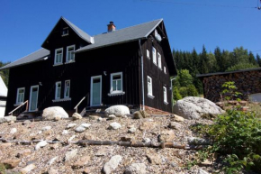 Wohnung in Klingenthal mit Terrasse, Garten und Grill